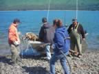BeachClean-UpJuly2007018.jpg (154kb)