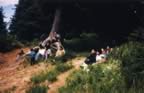 oldpg0003.jpg (77kb)